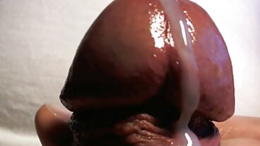 섹시 뉴비 리카 스타 핥아 거시기