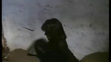 브랜디 이다 나사 에 a 테이블