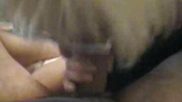 부다페스트에서 파티 음모 Cayenne의 BBC 데뷔