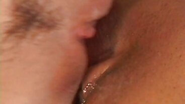 BRAZZERS: PornHD에서 Rachel Starr와 주방 섹스